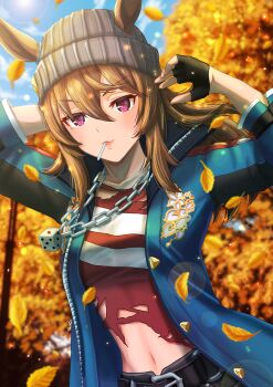 Rule 34 | 1girl, animal ears, autumn leaves, beanie, black gloves, blue coat, blue sky, blush, breasts, brown hair, coat, commentary request, dated commentary, dice, dice necklace, dice pendant, ears through headwear, fingerless gloves, gloves, grey hat, hair between eyes, hat, highres, horse ears, horse girl, jacket, jewelry, leaf, lollipop in mouth, long hair, long sleeves, looking at viewer, midriff, nakayama festa (shichuukyuukatsu) (umamusume), nakayama festa (umamusume), navel, necklace, otono (bkt4b), outdoors, pants, purple eyes, shirt, sky, torn clothes, torn shirt, tree, umamusume