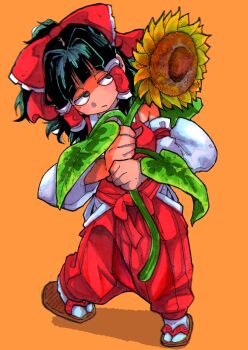 1girl :/ black_eyes black_hair bow chest_sarashi clothing_cutout detached_sleeves dot_nose flower full_body hair_bow hair_tubes hakama hakama_pants hakurei_reimu head_tilt highres hip_vent holding holding_flower inuyama_konan japanese_clothes medium_hair orange_background pants ponytail red_bow red_hakama red_shirt sandals sarashi shirt sidelocks sideways_glance simple_background sleeveless sleeveless_shirt solo sunflower tabi touhou waist_bow zouri