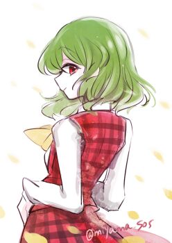 1girl artist_name ascot breasts closed_mouth collared_shirt cowboy_shot falling_petals from_behind green_hair kazami_yuuka long_sleeves looking_at_viewer looking_back medium_hair open_clothes open_vest petals plaid_clothes plaid_skirt plaid_vest red_eyes red_skirt red_vest shirt sidelocks simple_background skirt small_breasts smile solo tama_(hiroshige_36) touhou twitter_username vest watermark wavy_hair white_background white_shirt yellow_ascot