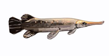 animal_focus commentary english_commentary fish from_side gar_(fish) highres junbuug no_humans original painterly simple_background white_background