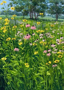 black-eyed_susan commentary coneflower day english_commentary field flower flower_field grass highres kate_avery no_humans oil_painting_(medium) original outdoors painting_(medium) pink_flower scenery traditional_media tree white_flower yellow_flower