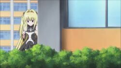 1boy 2010 2010s 3girls accidental_exposure all_fours animated anime_screenshot ass assisted_exposure black_hair blonde_hair blush clothes_lift clothes_pull embarrassed full-face_blush highres kotegawa_yui long_hair looking_back lying multiple_girls no_panties orange_hair outdoors panties public_indecency public_nudity school_uniform short_hair skirt skirt_lift skirt_pull sound surprised sweatdrop tagme to_love-ru torn_clothes underwear unworn_panties upskirt video wardrobe_malfunction wind wind_lift yuuki_rito