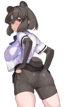 Rule 34 | 1girl, a888 n22, animal ears, ass, bear ears, bear girl, bear tail, bike shorts, bike shorts under skirt, black hair, black shorts, blush, bow, bowtie, breasts, brown bear (kemono friends), brown eyes, clothing cutout, commentary request, elbow gloves, extra ears, fingerless gloves, from behind, gloves, grey background, grey hair, highres, kemono friends, large breasts, looking at viewer, looking back, medium hair, microskirt, multicolored hair, parted lips, see-through clothes, see-through shirt, see-through silhouette, shirt, shirt overhang, short sleeves, short tail, shorts, simple background, skindentation, skirt, solo, tail, tail through clothes, two-tone hair, white shirt