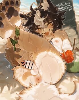 1boy anklet anus aya_(arioriak) beach borrowed_character brown_hair coconut coconut_cup colored_bangs commission erection fang flipped_hair furry furry_male grey_fur grey_tail heart highres holding jewelry legs_together legs_up looking_at_viewer lying multicolored_hair necklace nipples nude ocean on_back original outdoors palm_tree paulo_(paulo_z) pawpads pendant penis precum skeb_commission solo sweat sweatdrop testicles tongue tongue_out tree two-tone_fur two-tone_hair two-tone_tail water white_fur white_hair white_tail wolf_boy yellow_eyes