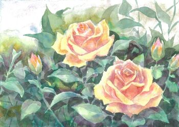 commentary_request flower flower_focus no_humans original painting_(medium) pink_flower pink_rose plant rose scenery sorao_umino still_life traditional_media watercolor_(medium)