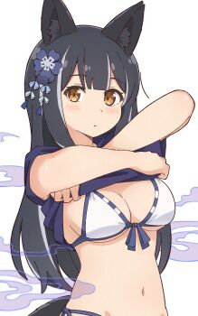 1girl absurdres animal_ear_fluff animal_ears bikini black_hair blush breasts brown_eyes center-flap_bangs commentary_request flower hair_flower hair_ornament highres long_hair looking_at_viewer medium_breasts mimori_(mimori_05) multicolored_hair navel original parted_lips purple_shirt shirt short_sleeves side-tie_bikini_bottom sidelocks simple_background solo stomach streaked_hair string_bikini swimsuit undressing upper_body white_background white_bikini white_hair wolf_ears