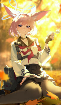 1girl absurdres animal_ear_fluff animal_ears armband black_gloves black_pantyhose black_sailor_collar blue_archive blue_eyes blue_halo blurry blurry_background commentary_request fingerless_gloves forest fox_ears fox_girl gloves halo highres holding leaf looking_at_viewer maple_leaf nature neckerchief niko_(blue_archive) outdoors pantyhose parted_lips pink_hair red_armband red_neckerchief sailor_collar short_hair sitting solo wako_(1194433260) wariza