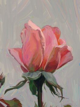 absurdres check_flower flower flower_request highres object_focus original painterly pink_flower plant plant_focus rose still_life twulfs