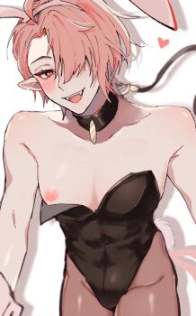 1boy :d ahoge animal_ears aster_(nu_carnival) biceps black_collar black_leotard blurry blurry_background blush brown_pantyhose bulge collar collarbone covered_abs covered_navel cowboy_shot crossdressing crossdressing_(mtf) detached_collar drop_shadow fake_animal_ears fake_tail fangs groin hair_over_one_eye half-closed_eyes head_tilt heart highres leash leotard looking_at_viewer male_focus male_playboy_bunny nipple_slip nipples nu_417 nu_carnival one_eye_covered open_mouth pantyhose pectorals pink_eyes pink_hair pointy_ears rabbit_ears short_hair simple_background slit_pupils smile solo strapless strapless_leotard sweat tail white_background
