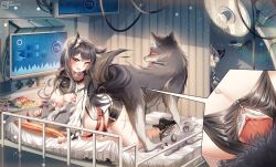 1girl absurdres animal_penis arknights baby_animal bestiality dog highres knotted_penis knotting lappland_(arknights) non-web_source nude penis pregnant puppy texas_(arknights) tyranno_9807 wolf