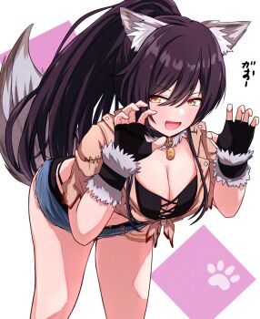 1girl :d animal_ear_fluff animal_ears black_bra black_hair black_panties blue_shorts bra breasts brown_jacket chain claw_pose cleavage criss-cross_straps cropped_jacket cutoffs denim denim_shorts fang feet_out_of_frame fingerless_gloves front-tie_top fur-trimmed_collar fur_trim gloves hair_between_eyes high_ponytail highleg highleg_panties highres hyu-kya idolmaster idolmaster_shiny_colors jacket jewelry large_breasts light_blush long_hair looking_at_viewer navel open_mouth panties ponytail shirase_sakuya shorts sideways_glance simple_background smile solo tail underwear wolf_ears wolf_girl wolf_tail yellow_eyes