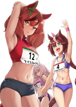Rule 34 | 3girls, absurdres, animal ears, arm up, armpits, arms behind head, arms up, biwa hayahide (umamusume), black buruma, blue buruma, blue eyes, blue sports bra, blush, breasts, brown hair, brown tail, buruma, commentary request, glasses, grey hair, grey tail, hair between eyes, highres, horse ears, horse girl, horse tail, large breasts, long hair, looking at viewer, miyama mizuki (hoshihoshi1220), multicolored hair, multiple girls, navel, nice nature (umamusume), open mouth, pink sports bra, ponytail, red-framed eyewear, red sports bra, semi-rimless eyewear, simple background, skindentation, smile, sports bra, stomach, streaked hair, tail, teeth, thighs, tokai teio (umamusume), umamusume, upper teeth only, white background, white streaks