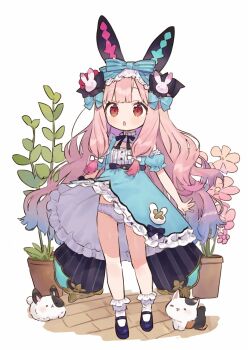 1girl animal_ears black_footwear blue_dress bow cat dress fake_animal_ears flower_pot full_body hair_bow highres loli long_hair mary_janes meruhunlab open_mouth original panties pantyshot pink_hair plant potted_plant rabbit rabbit_ears red_eyes ribbon shoes short_sleeves socks standing thighs underwear very_long_hair white_panties white_socks wind wind_lift