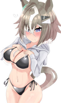 Rule 34 | 1girl, absurdres, animal ears, bikini, black bikini, blue eyes, blush, breasts, brown hair, cleavage, commentary request, cowboy shot, cropped hoodie, embarrassed, grey shrug, highres, hood, hooded jacket, hoodie, horse ears, horse girl, horse tail, jacket, large breasts, multicolored hair, nose blush, rulership (umamusume), setsuzan uma, short hair, shrug (clothing), side-tie bikini bottom, simple background, solo, streaked hair, swimsuit, tail, umamusume, white background, white streaks