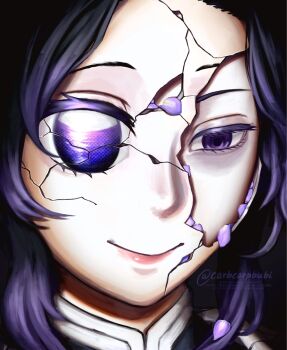 1girl artist_name black_hair broken_mask carbcarpbubi highres kimetsu_no_yaiba kochou_shinobu looking_at_viewer mask meme multicolored_hair parted_bangs petals portrait purple_eyes purple_hair smile two-tone_hair watermark