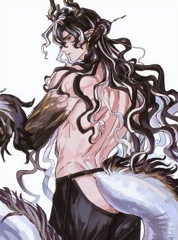 Rule 34 | 1boy, absurdres, ammi (mayflyaa), arknights, black hair, colored extremities, dragon boy, dragon horns, dragon tail, from behind, hashtag-only commentary, highres, horns, looking at viewer, looking back, male focus, multicolored hair, solo, tail, toned, toned male, wang (arknights), white background, white hair