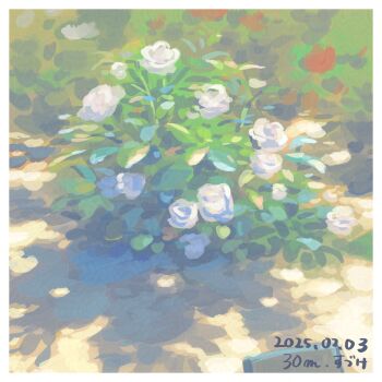 border commentary_request dated day flower flower_request no_humans one-hour_drawing_challenge original outdoors plant plant_focus shadow suzuke white_border white_flower