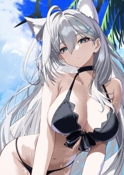 1girl animal_ear_fluff animal_ears bare_shoulders bikini black_bikini blue_archive blue_eyes blue_sky breasts choker cleavage collarbone commentary_request cross_hair_ornament extra_ears grey_hair hair_ornament halo highres large_breasts long_hair looking_at_viewer navel neko_daruma shiroko_terror_(blue_archive) sidelocks sky solo swimsuit wolf_ears