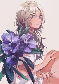 Rule 34 | 1girl, commentary, fingernails, flower, fly (marguerite), grey background, grey hair, hair between eyes, hand on own knee, leaf, light smile, long hair, looking at viewer, open mouth, orchid, original, purple eyes, purple flower, shirt, short hair, sidelocks, simple background, solo, upper body, white shirt