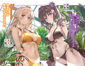 2girls arms_behind_back asobi_no_kankei bikini bikini_tan black_bikini black_hair blonde_hair blush breasts closed_mouth from_below front-tie_bikini_top front-tie_top frown hand_on_own_arm hankui_akari highres large_breasts long_hair looking_at_viewer looking_down misaki_kurehito multi-strapped_bikini_bottom multiple_girls navel non-web_source official_art plant side-tie_bikini_bottom smile stomach swimsuit takeshi_momoa tan tanline twintails yellow_bikini