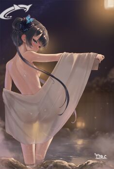 1girl absurdres artist_logo artist_name ass back backlighting bathing black_hair blue_archive blue_butterfly blunt_bangs breasts bug butterfly butterfly_hair_ornament completely_nude cooker19878 covering_ass covering_privates galaxy grey_eyes grey_halo hair_bun hair_ornament half-closed_eyes halo highres holding holding_towel insect kisaki_(blue_archive) lamp logo loli long_hair looking_at_viewer looking_back night nude nude_cover onsen outdoors partially_submerged rock sideboob sky slit_pupils small_breasts solo steam sweat thigh_gap towel translucent tsurime twintails very_long_hair water