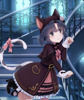 1girl :3 animal_ears animal_hands black_boots black_capelet black_dress black_eyes black_hair black_hat blush boots bow capelet cat_ears cat_tail closed_mouth dark_room dot_nose dress fake_animal_ears fake_tail fingerless_gloves flower footwear_flower frilled_capelet frilled_dress frills game_cg gloves halloween halloween_costume hat hat_flower hat_with_ears high_heel_boots high_heels indoors long_sleeves looking_at_viewer musumi_kiyoka official_art paw_gloves paw_pose pink_bow pink_ribbon railing ribbon rose smile solo spotted_tail stairs standing standing_on_one_leg tail tail_bow tail_ornament third-party_source toji_no_miko toji_no_miko:_kizamishi_issen_no_tomoshibi white_flower white_gloves white_rose white_tail window