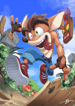 2boys absurdres aku_aku capri_pants crash_bandicoot crash_bandicoot_(series) denim food fruit furry furry_male highres jeans leather_belt male_focus multiple_boys orange_fur pants tongue two-tone_fur wumpa_fruit zumi_mimimi