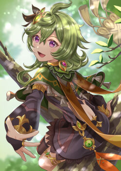 1girl absurdres ahoge ankoro asymmetrical_legwear blush bridal_gauntlets brown_dress brown_thighhighs capelet collei_(genshin_impact) dendro_symbol_(genshin_impact) dress genshin_impact green_capelet green_hair hair_between_eyes hair_ornament highres jewelry looking_at_viewer looking_back open_mouth purple_eyes sitting sitting_on_branch smile solo tassel-trimmed_capelet thighhighs vision_(genshin_impact)