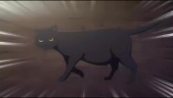 1girl animal animal_hood animated black_cat bottomless brown_hair cat censored closed_eyes emphasis_lines green_hoodie happy highres holding holding_animal holding_cat hood hood_up hoodie katou_mio_(seika_jogakuin_kounin_sao_ojisan) naked_hoodie night outdoors park seika_jogakuin_kounin_sao_ojisan smile sound standing tagme tan tanline video