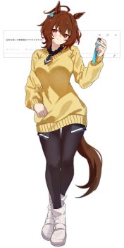 1girl absurdres agnes_tachyon_(tach-nology)_(umamusume) agnes_tachyon_(umamusume) ahoge animal_ears black_pantyhose boots breasts brown_hair chemical_structure closed_mouth commentary_request earrings full_body ha_(hura76752775) hair_between_eyes highres holding holding_test_tube horse_ears horse_girl horse_tail huge_ahoge jewelry long_sleeves medium_breasts medium_hair necktie pantyhose red_eyes request_inset short_necktie simple_background single_earring smile solo standing sweater tail test_tube translation_request umamusume white_background white_boots yellow_sweater