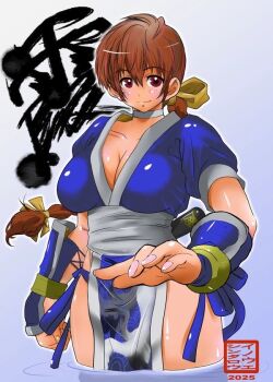 Rule 34 | 1girl, braid, breasts, brown eyes, brown hair, cleavage, dead or alive, inoue shintarou, kasumi (doa), large breasts, long hair, ninja, pelvic curtain, short sleeves, smile, sword, sword on back, weapon on back
