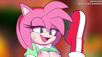 2girls amy_rose animated black_eyes breasts classic_amy_rose dual_persona female_ejaculation furry furry_female furry_with_furry highres loli medium_breasts multiple_girls nipples pussy pussy_juice selfcest sonic_(series) sound tagme tribadism video yuri