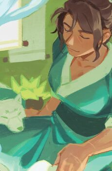 Rule 34 | 1girl, animal, breasts, brown hair, cleavage, closed eyes, commentary, dog, english commentary, green robe, hair bun, highres, indoors, namgung minyoung, nemomosso, omniscient reader's viewpoint, plant, potted plant, robe, sidelocks, smile, towel