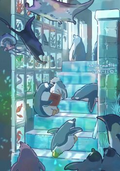Rule 34 | absurdres, animal focus, artist name, bird, book, commentary, fish, flying fish, highres, holding, holding book, indoors, jellyfish, manta ray, no humans, original, penguin, stairs, symbol-only commentary, tasoema416