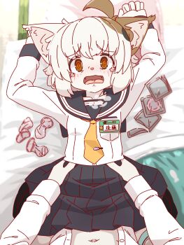 1boy 1girl @_@ ahoge animal_ear_fluff animal_ears animal_nose animated animated_png aogitsune_jitto aqua_panties arms_up blue_sailor_collar blue_skirt blush breasts breathing brown_eyes brown_fur calico_(pattern) cat_ears cat_girl clothed_sex condom condom_wrapper fangs from_above furry furry_female furry_male hands_on_another&#039;s_hips hetero highres long_sleeves lying missionary multiple_condoms name_tag necktie on_back on_bed open_mouth original paid_reward_available panties panties_around_leg pleated_skirt pov pov_crotch pov_hands sailor_collar school_uniform serafuku sex shirt short_hair skirt small_breasts solo_focus spread_legs tearing_up tie_clip tillsit underwear used_condom vaginal white_fur white_shirt yellow_necktie