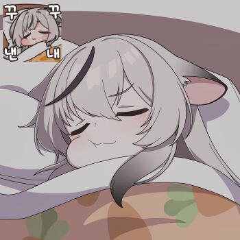 1girl :3 absurdres animal_ears black_hair blanket blue_archive blush closed_eyes closed_mouth colored_bangs commentary_request crossed_bangs grey_hair hair_between_eyes hair_intakes highres kokona_(blue_archive) long_hair lying no_halo pillow reference_inset sidelocks sleeping solo tiger_ears vector_(dmlddmld00)