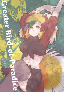 1girl bird_tail bird_wings black_hair blonde_hair blush bow breasts greater_bird-of-paradise_(kemono_friends) green_hair head_wings highres johnny_(tattva_isekai-dou) kemono_friends large_breasts long_hair looking_at_viewer midriff multicolored_hair navel open_mouth shirt skirt smile solo tail thighhighs wings yellow_eyes