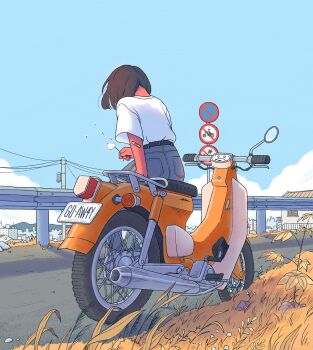 Rule 34 | 1girl, aoicancerius, bandaid, bandaid on arm, black hair, blue sky, colored skin, commentary, dandelion, dandelion seed, day, denim, english commentary, english text, flower, from behind, grass, guard rail, highres, holding, holding flower, jeans, license plate, motor vehicle, motorcycle, on motorcycle, original, outdoors, pants, plant, power lines, red skin, road, shirt, short hair, short sleeves, sitting, sky, solo, utility pole, white shirt
