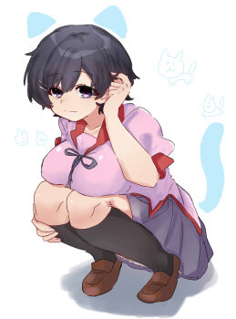 1girl absurdres black_hair black_socks blue_skirt breasts brown_shoes cat collared_shirt commentary hair_ornament hairclip hanekawa_tsubasa highres large_breasts looking_at_viewer monogatari_(series) naoetsu_high_school_uniform purple_eyes ribbon school_uniform shirt shoes short_hair skirt smile socks solo symbol-only_commentary tsugumi_(tgm_615486)
