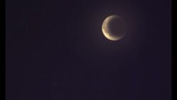 1boy 3girls after_vaginal age_difference animated ass audible_speech avira_the_snake_(mister_cinders) between_breasts black_hair blue_hair bottomless breasts brown_hair chim_(mr.cinders) cigarette cleavage closed_eyes couch cum cum_in_pussy cumdrip curvy earrings ejaculation ember_the_spirit_(mister_cinders) english_audio excessive_cum face_between_breasts greasymeta head_between_breasts hetero huge_ass huge_breasts huge_penis indoors interior jewelry large_breasts large_testicles long_hair multiple_girls naked_towel navel night onee-shota penis red_eyes reena_the_tiger_(mister_cinders) sex sex_from_behind short_hair shota shotadom size_difference smoking sound tagme tail testicles thick_thighs thighhighs thighs towel uncensored vaginal video voyeurism walk-in white_hair wide_hips yellow_eyes