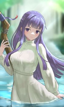 1girl absurdres blunt_bangs blush breasts closed_mouth commentary_request dress fern_(sousou_no_frieren) highres holding holding_staff long_hair long_sleeves looking_at_viewer mage_staff medium_breasts outdoors partially_submerged purple_eyes purple_hair sidelocks smile solo sousou_no_frieren staff tarutaru193 water white_dress
