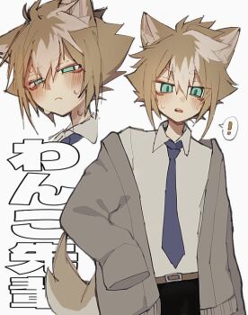 Rule 34 | !, 1boy, animal ear fluff, animal ears, aqua eyes, arm up, belt, belt buckle, black pants, blush, brown belt, buckle, closed mouth, collared shirt, cropped shoulders, dax00, double-parted bangs, frown, genshin impact, gorou (genshin impact), grey jacket, hair between eyes, hashtag-only commentary, jacket, male focus, multiple views, open clothes, open jacket, open mouth, pants, shirt, shirt tucked in, short hair, sleeves past fingers, sleeves past wrists, speech bubble, spoken exclamation mark, sweat, translation request, white background, white shirt, wing collar