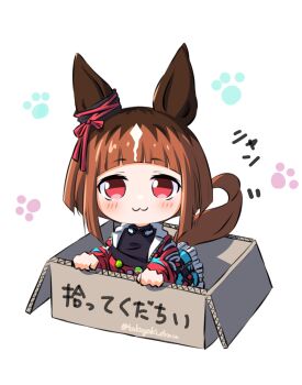 1girl animal_ears aqua_coat black_shirt blush box brown_hair cardboard cardboard_box chibi closed_mouth coat commentary fanny_pack for_adoption headphones headphones_around_neck highres horse_ears horse_girl horse_tail in_box in_container jacket long_sleeves looking_at_viewer multicolored_hair open_clothes open_coat paw_print paw_print_background red_eyes shirt short_hair smile solo tail takoyaki_(takoyaki_draw) transcend_(umamusume) transcend_(zoku-zoku_gizmo)_(umamusume) umamusume