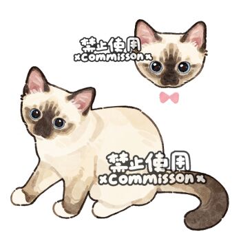 animal animal_focus baby_animal blue_eyes cat colorpoint_(pattern) commission full_body kitten looking_at_viewer multiple_views no_humans original simple_background sitting snowshoe_cat solo_focus watermark white_background xiao_bo_kuai_kuai