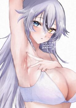 1girl 2025 absurdres arm_up armpit_crease armpit_focus armpits blue_eyes blush bra braid breasts cleavage goddess_of_victory:_nikke grey_hair hair_between_eyes heterochromia highres large_breasts light_blush long_hair miumiumi_99 phantom_(nikke) presenting_armpit solo spread_armpit sweat twitter_username underwear upper_body white_background white_bra yellow_eyes
