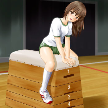 Rule 34 | 1girl, blush, brown eyes, brown hair, buruma, collarbone, female focus, from side, green buruma, gym, gym shirt, gym uniform, hair between eyes, head tilt, kneehighs, leaning forward, legs apart, long hair, looking at viewer, multicolored shoes, nikkeru suiso, open mouth, original, panties, panties under buruma, panty peek, shirt, shoes, short sleeves, sitting, sitting on object, smile, sneakers, socks, solo, underwear, underwear peek, vaulting horse, white panties, white shirt, white shoes, white socks, wooden floor