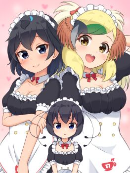 3girls :d absurdres antennae arm_behind_head arm_under_breasts black_eyes black_hair blonde_hair blue_eyes breasts commentary_request detached_collar greater_bird-of-paradise_(kemono_friends) green_hair grey_hair head_wings heart highres japari_symbol kemono_friends long_hair looking_at_viewer maid maid_headdress medium_breasts multicolored_hair multiple_girls open_mouth pink_background puffy_short_sleeves puffy_sleeves shiraha_maru short_hair short_sleeves simple_background smile superb_bird-of-paradise_(kemono_friends) swept_bangs western_parotia_(kemono_friends) wings yellow_eyes