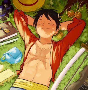Rule 34 | 1boy, arms behind head, bag, birthday, black hair, book, closed eyes, closed mouth, colereeyn, commentary, cross scar, dated, english commentary, facial scar, food, fruit, grass, hat, highres, instrument, katana, lying, male focus, mandarin orange, monkey d. luffy, navel, on back, one piece, open clothes, open shirt, pectorals, red shirt, sash, scar, scar on cheek, scar on chest, scar on face, shirt, short hair, smile, solo, stomach, straw hat, sword, unworn eyewear, unworn hat, unworn headwear, upper body, violin, weapon, yellow sash