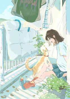 1girl absurdres air_mattress animal animal_collar balcony brown_hair cat collar commentary_request day drying drying_clothes from_side grey_shorts grey_slippers highres inoue_haruka_(haruharu210) leaf looking_at_animal looking_down medium_hair open_mouth orange_cat orange_socks original outdoors pet plant potted_plant profile shadow shirt short_sleeves shorts sitting slippers socks solo t-shirt unworn_shirt white_shirt