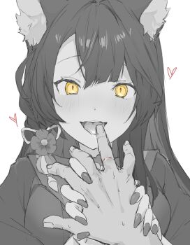 1girl 1other absurdres animal_ears assertive_female blue_archive blush commentary fingernails fox_ears greyscale haru_15_hiko heart highres holding_hands long_hair looking_at_viewer monochrome open_mouth portrait pov pov_hands saliva saliva_on_hand saliva_trail sharp_fingernails simple_background smile solo_focus spot_color straight-on sweatdrop tongue tongue_out wakamo_(blue_archive) white_background yellow_eyes